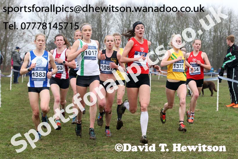 Senior womens Inter Counties Cross Country, Prestwold Hall, Loughborough. Photo: David T. Hewitson/Sports for All Pics